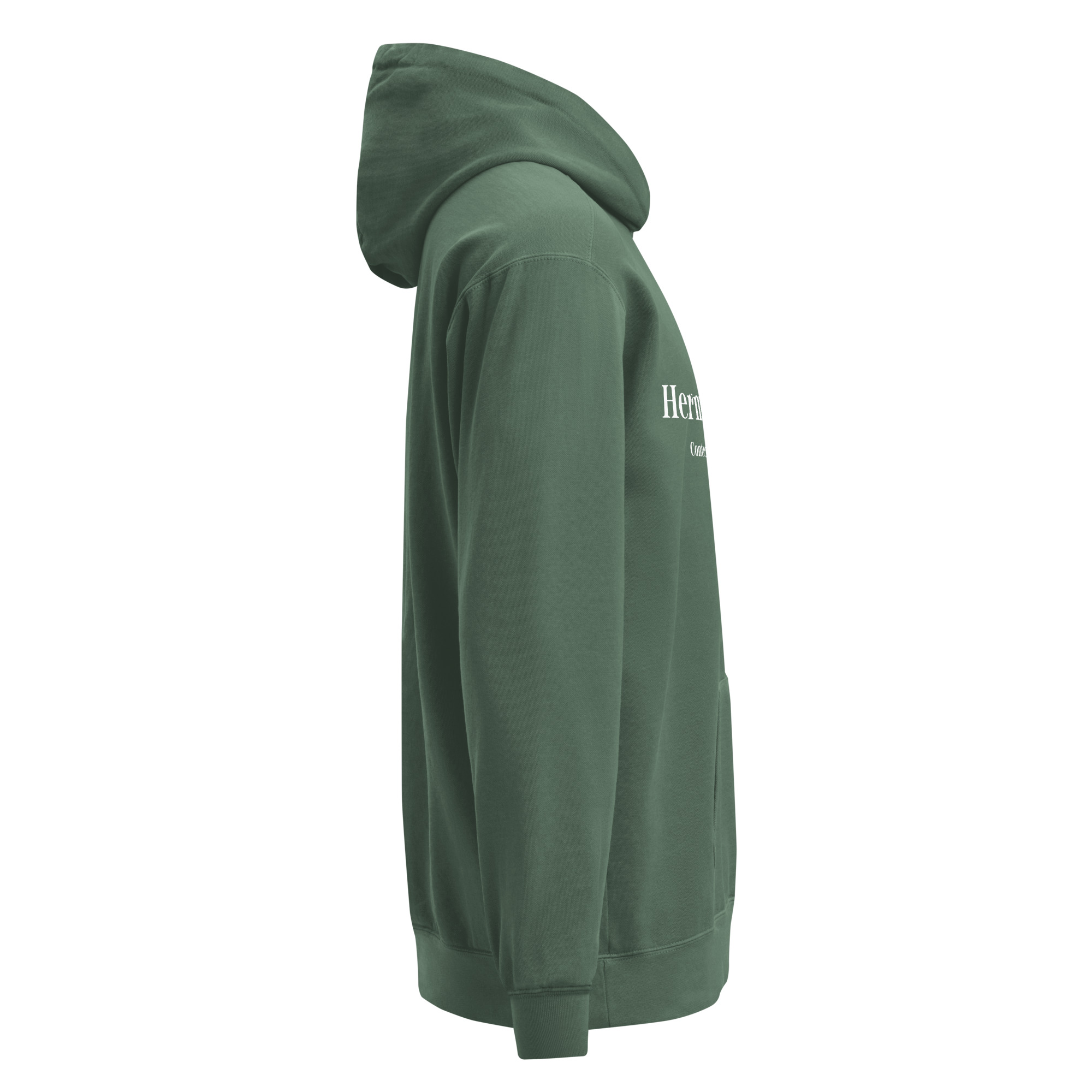 JT Hermeneutics Unisex garment-dyed hoodie - Image 12