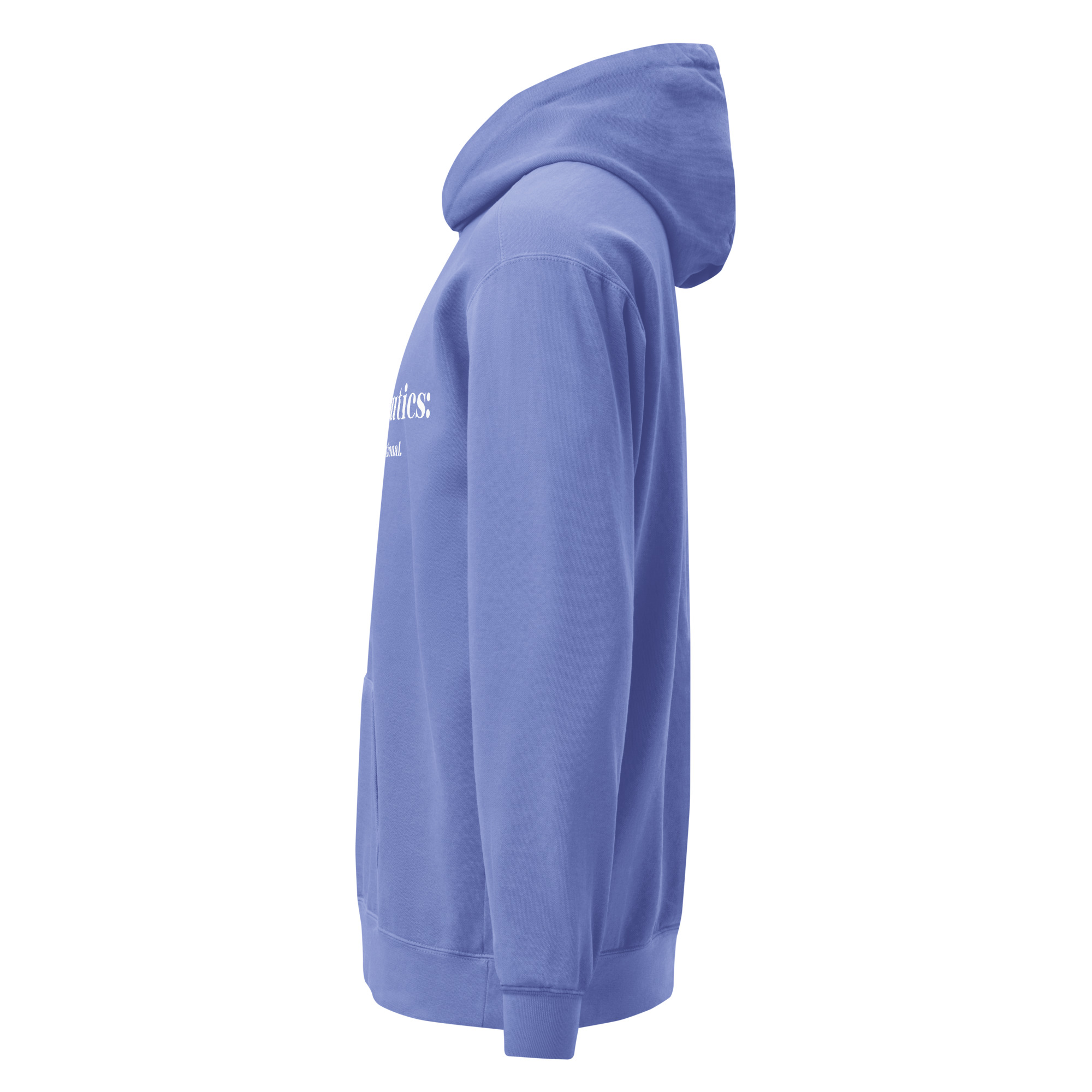 JT Hermeneutics Unisex garment-dyed hoodie - Image 27