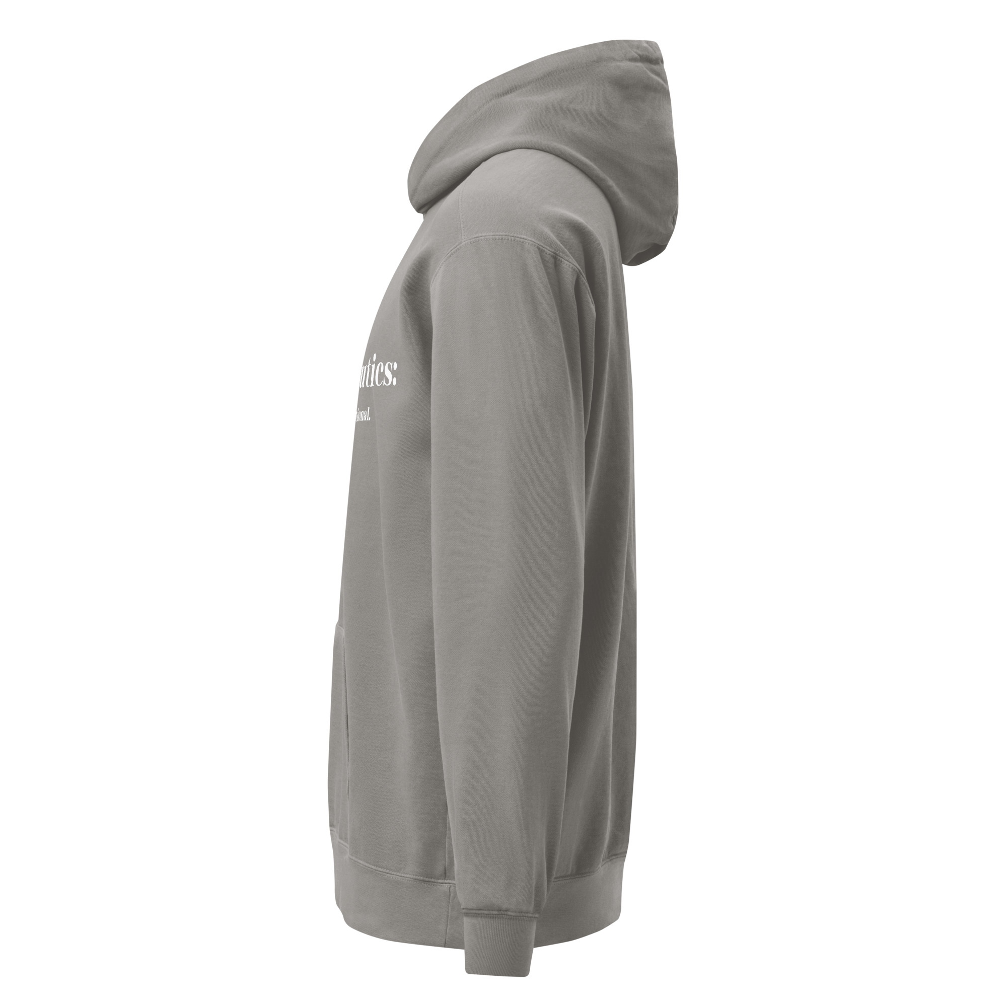 JT Hermeneutics Unisex garment-dyed hoodie - Image 31
