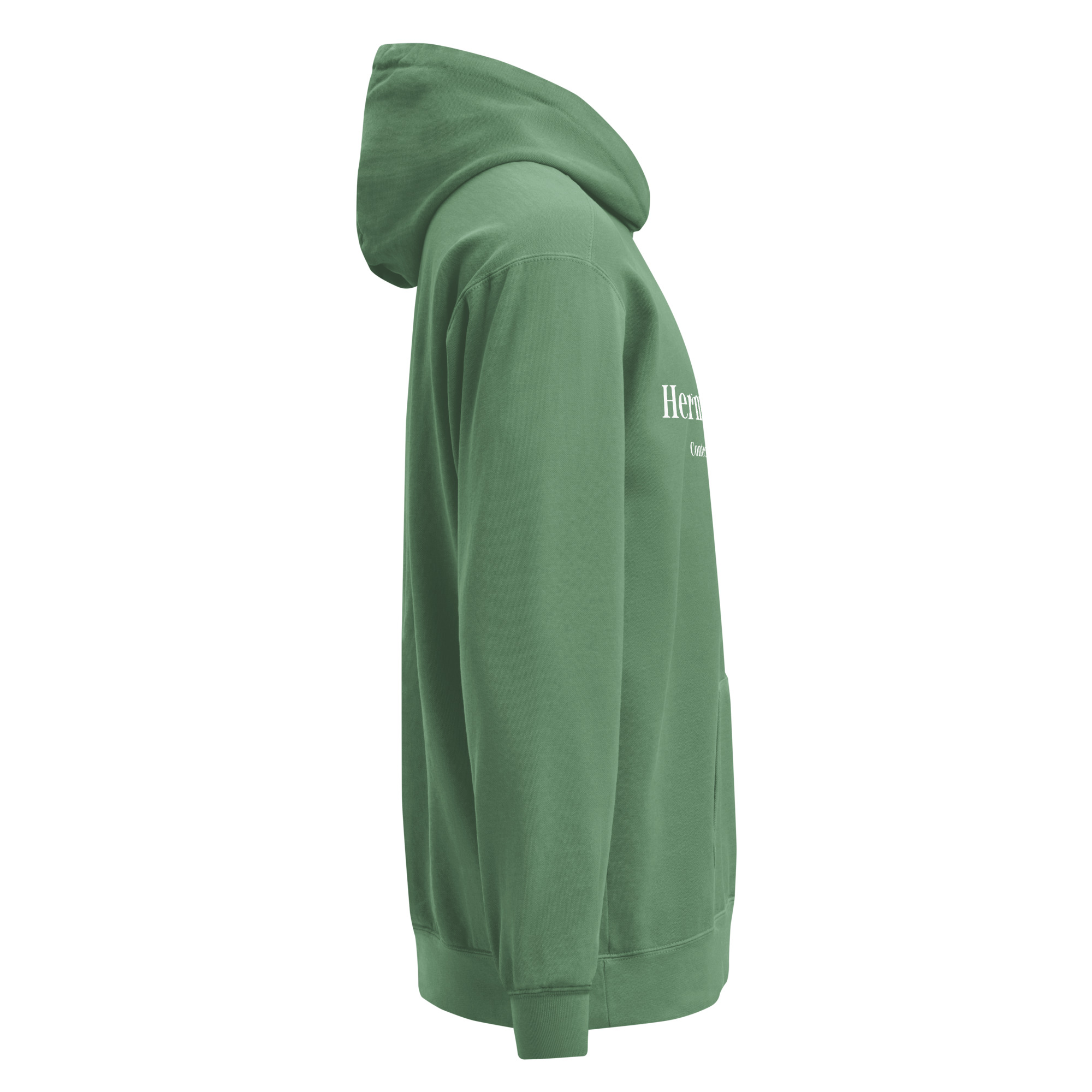 JT Hermeneutics Unisex garment-dyed hoodie - Image 24